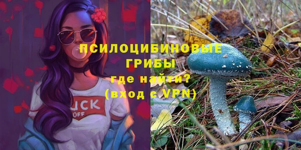 твердый Верхний Тагил